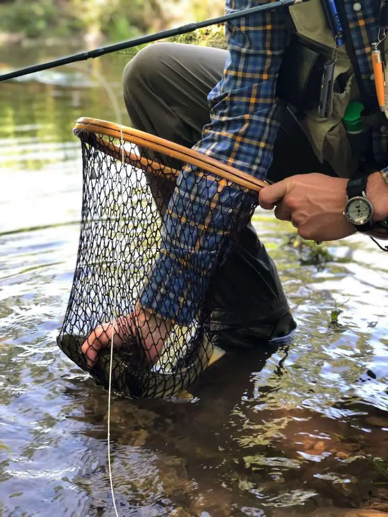 Treibfreies Fliegenfischen: Fangen einer wilden Bachforelle