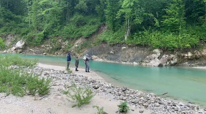 Fliegenfischen auf Marmorata in Slowenien