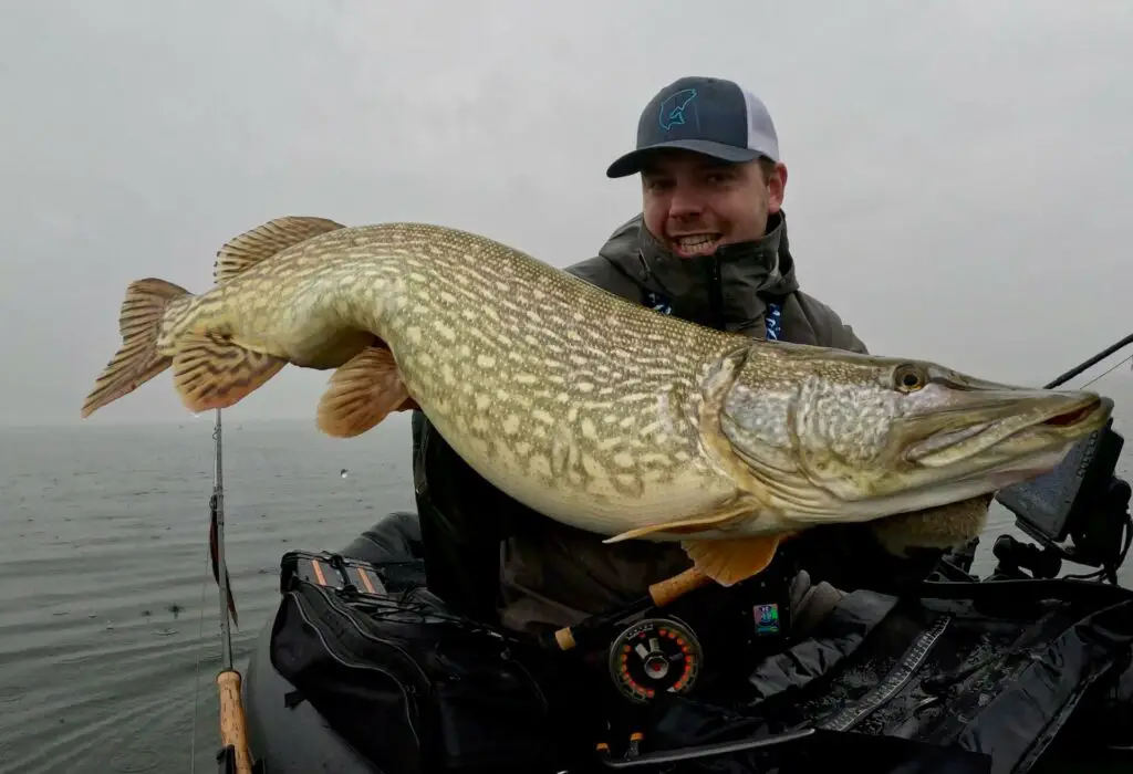 TvP Fly Fishing for Pike