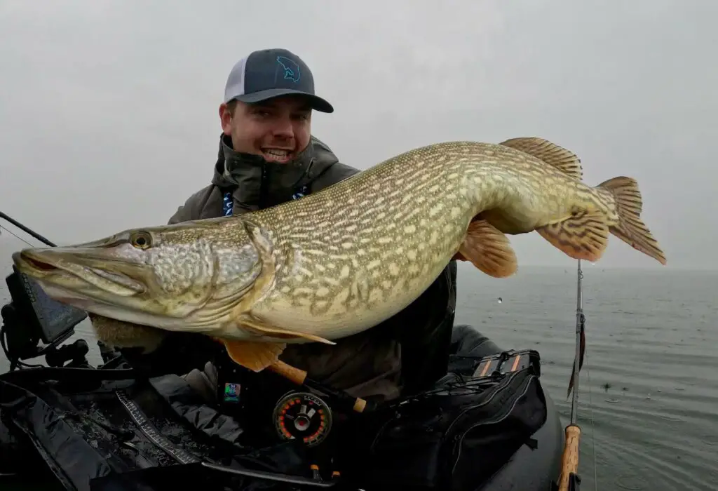 Fly Fishing for Pike in the Rain