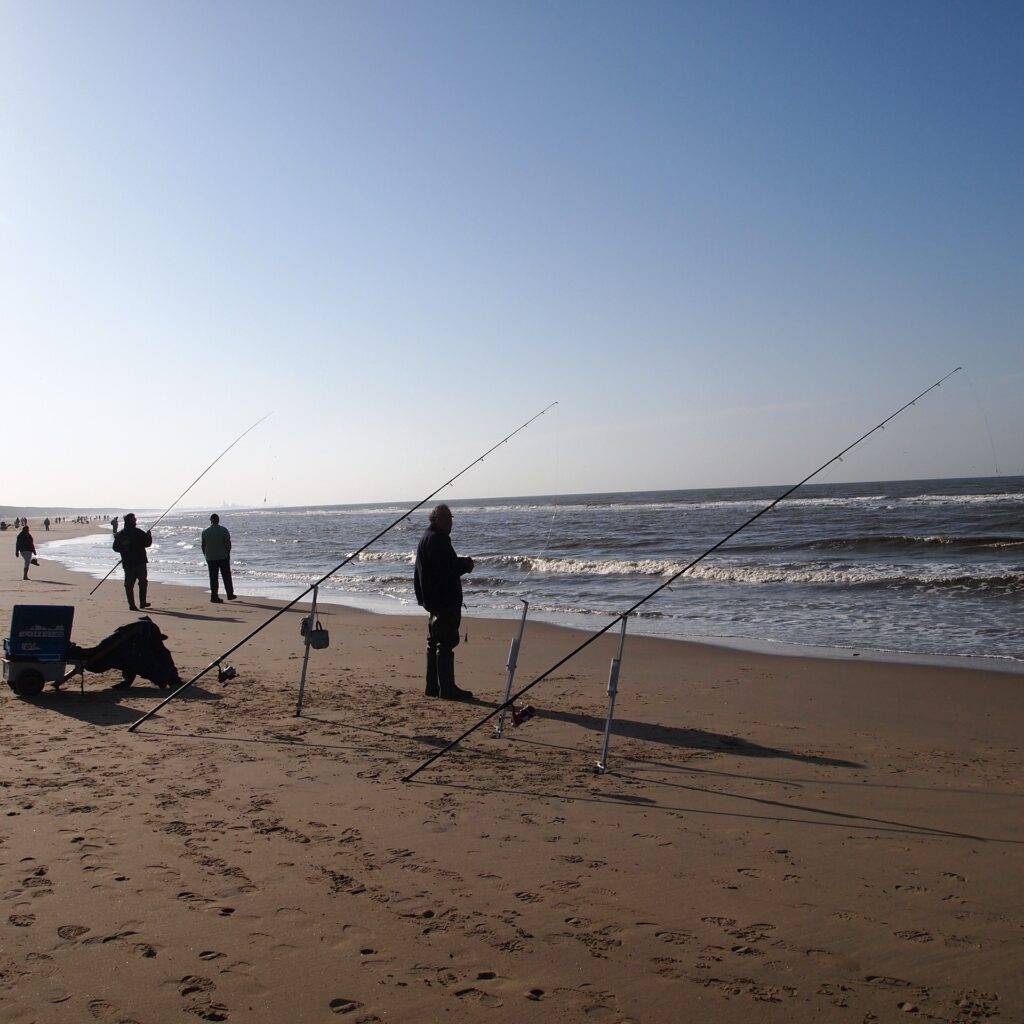 Angeln in Holland am Meer